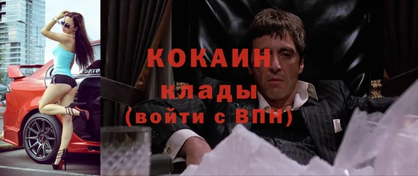 шишки Киреевск
