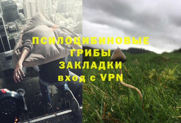 шишки Киреевск