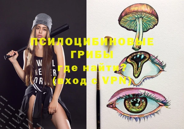 шишки Киреевск