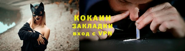шишки Киреевск