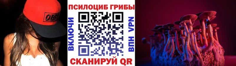 Галлюциногенные грибы Psilocybine cubensis Купить закладки Голицыно